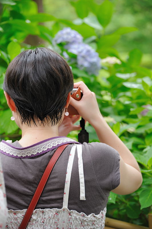 梅雨の彩りを探しに・三室戸寺 其の一_f0032011_1955659.jpg