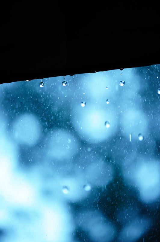 梅雨の彩りを探しに・三室戸寺 其の一_f0032011_1982465.jpg