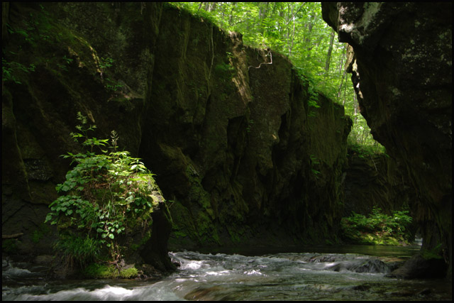 b0019313_17392494.jpg