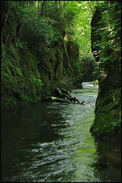 b0019313_1741322.jpg