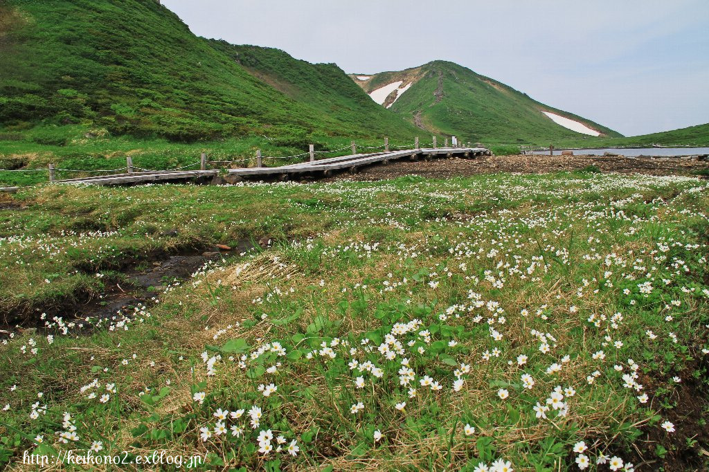 雪渓を行く_a0032015_956150.jpg