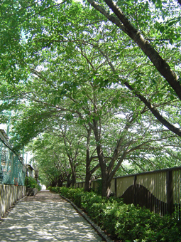 c0135618_21293167.jpg