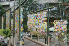 f0090719_755374.jpg