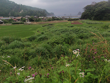 「隠岐の島ウルトラマラソン」100kmに参加しました!_a0164620_16212335.jpg