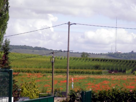 d0049723_2347215.jpg