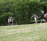 薔薇も咲いたし、楽しかった代休日_f0170524_20124269.jpg