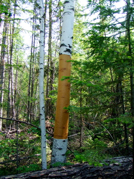 f0235224_18505514.jpg