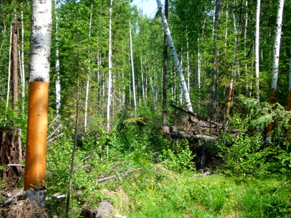 f0235224_1916444.jpg