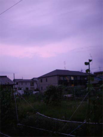 夏至の夕焼け_e0103327_2338138.jpg