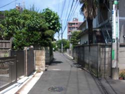 d0132128_1259596.jpg