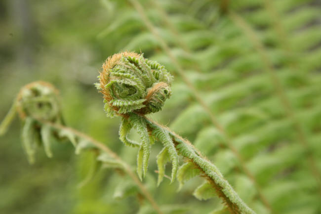 f0017530_21334177.jpg