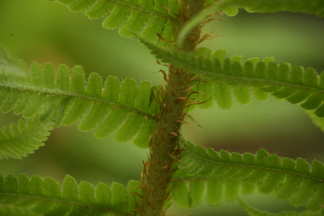 f0017530_21345740.jpg
