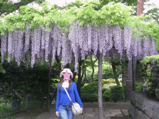 f0124733_20214115.gif