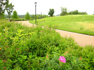 あがの池公園_f0182936_23244797.jpg