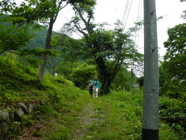 d0163339_21182630.jpg