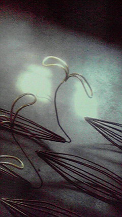 e0110940_2395571.jpg