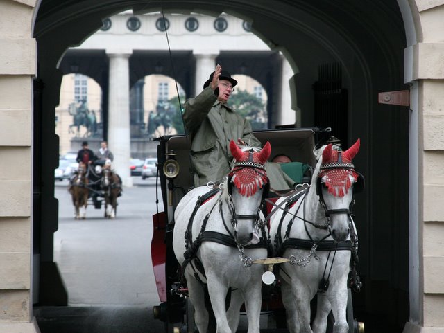 ウィーン旅行～２日目～_f0210340_9334675.jpg