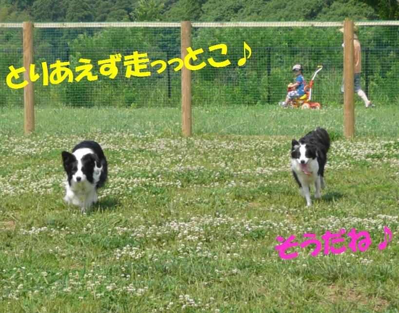 c0147241_012240.jpg