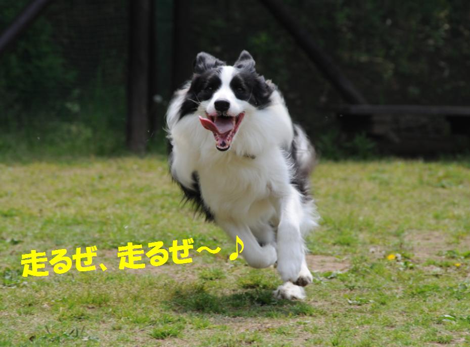 c0147241_0123434.jpg