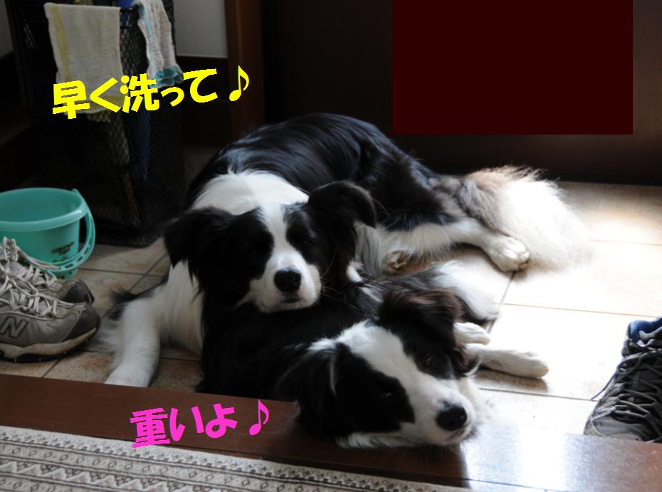 c0147241_0125937.jpg