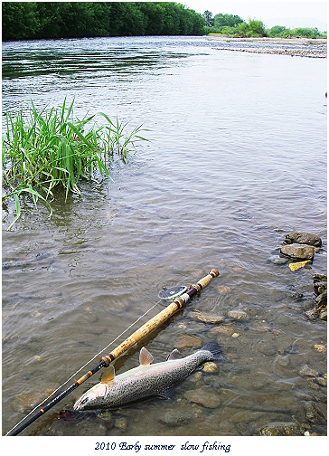 <Vol.766> 湧別川(Yubetsu River)の初夏_d0029241_2112652.jpg