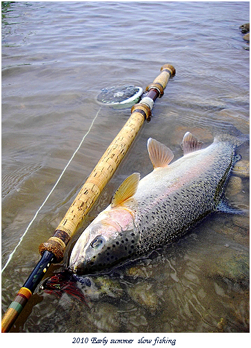 毛鉤 Toshio Brand 川釣り