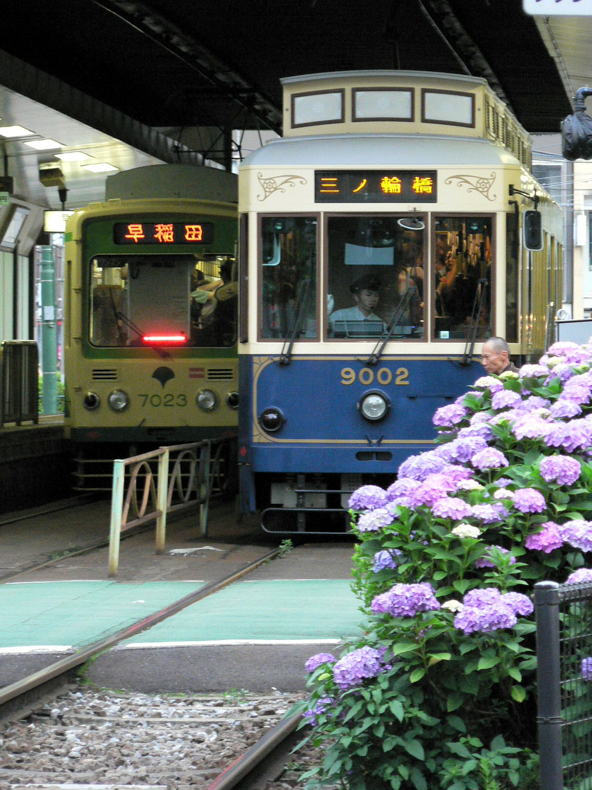 あじさい列車２０１０　第６章_f0113552_013817.jpg