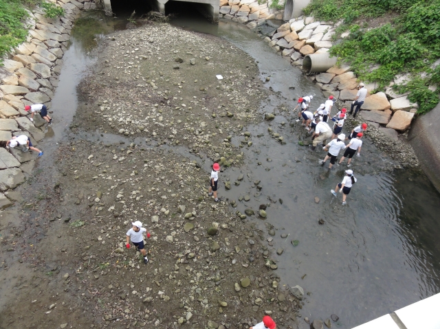 c0108460_18265287.jpg