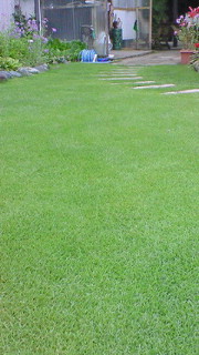 e0148662_12215234.jpg