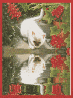 a0063364_0101753.gif
