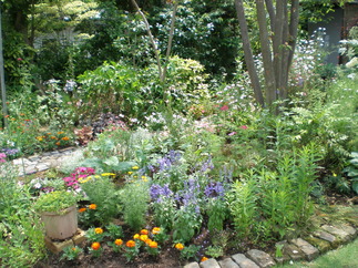 f0228967_2250263.jpg