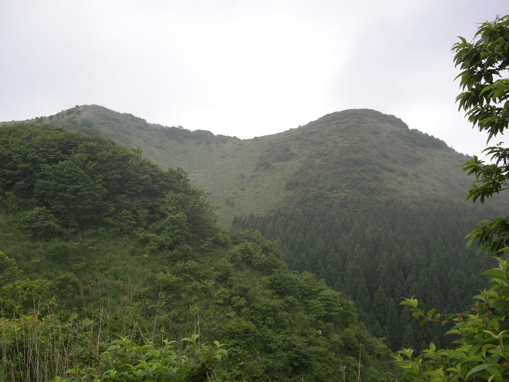 半年ぶり鳥取・智頭町の篭山_b0185573_51722.jpg