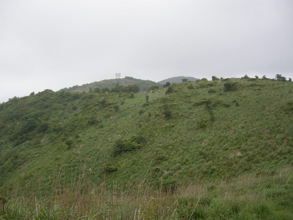 b0185573_59858.jpg