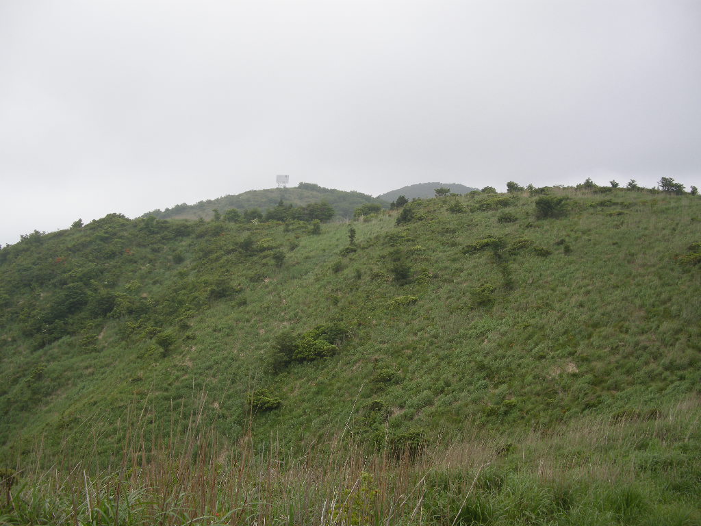 半年ぶり鳥取・智頭町の篭山_b0185573_59858.jpg