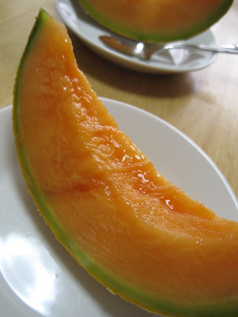b0001979_8165930.jpg