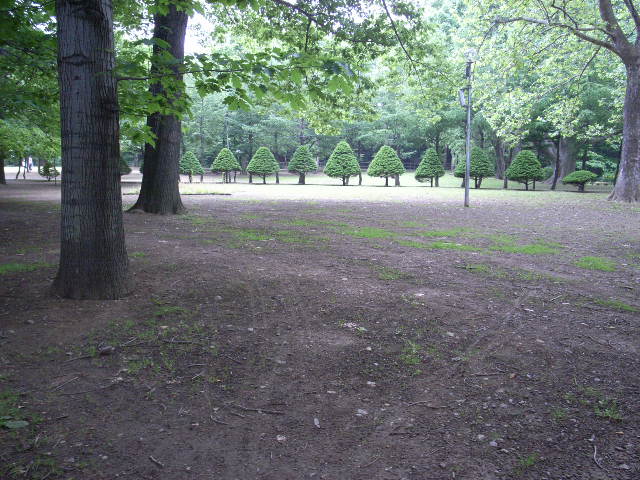 b0162681_23571592.jpg