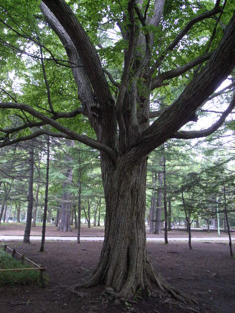 b0162681_23573745.jpg