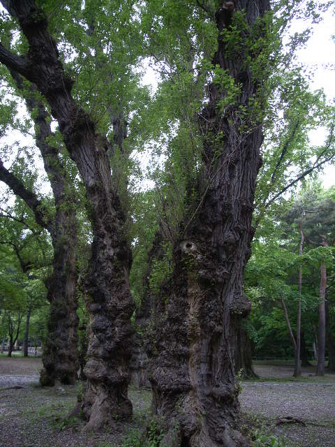 b0162681_2357538.jpg
