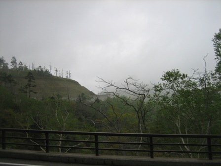 b0097183_1864658.jpg