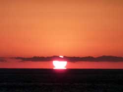 2010年6月21日(月) 月曜日(^^♪_b0137083_19454116.jpg