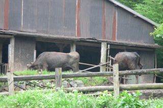 2010年6月21日 まだまだ。。。_b0098584_9162448.jpg