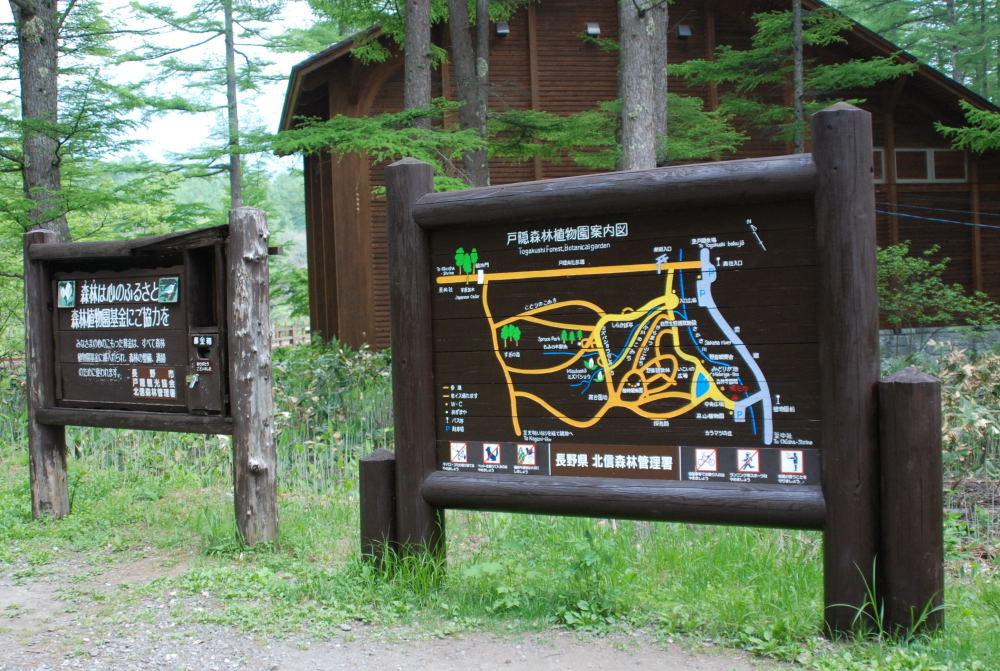 f0202686_2184888.jpg