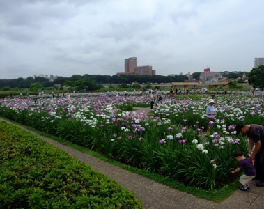 d0153294_1001635.jpg