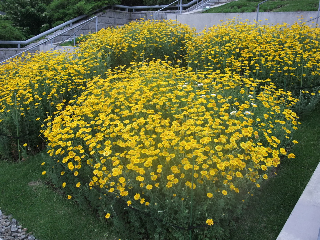 b0044296_20221672.jpg