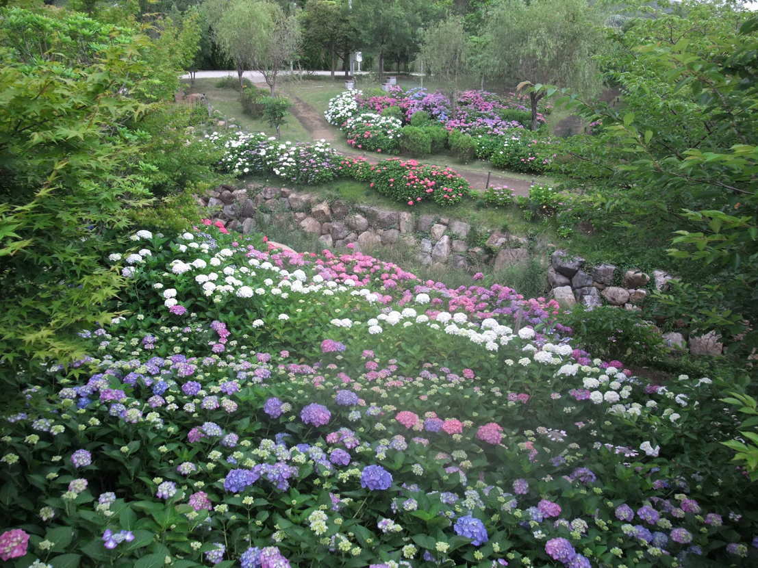 b0044296_20464877.jpg