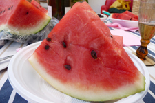 レッチェぶらぶら最終回_f0106597_092389.jpg