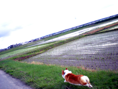 f0164499_14263188.jpg