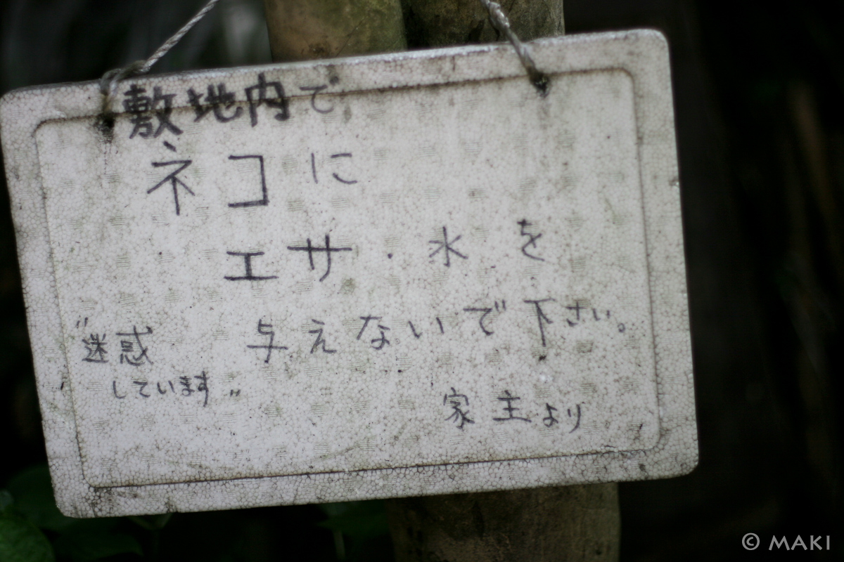 c0128108_24513.jpg