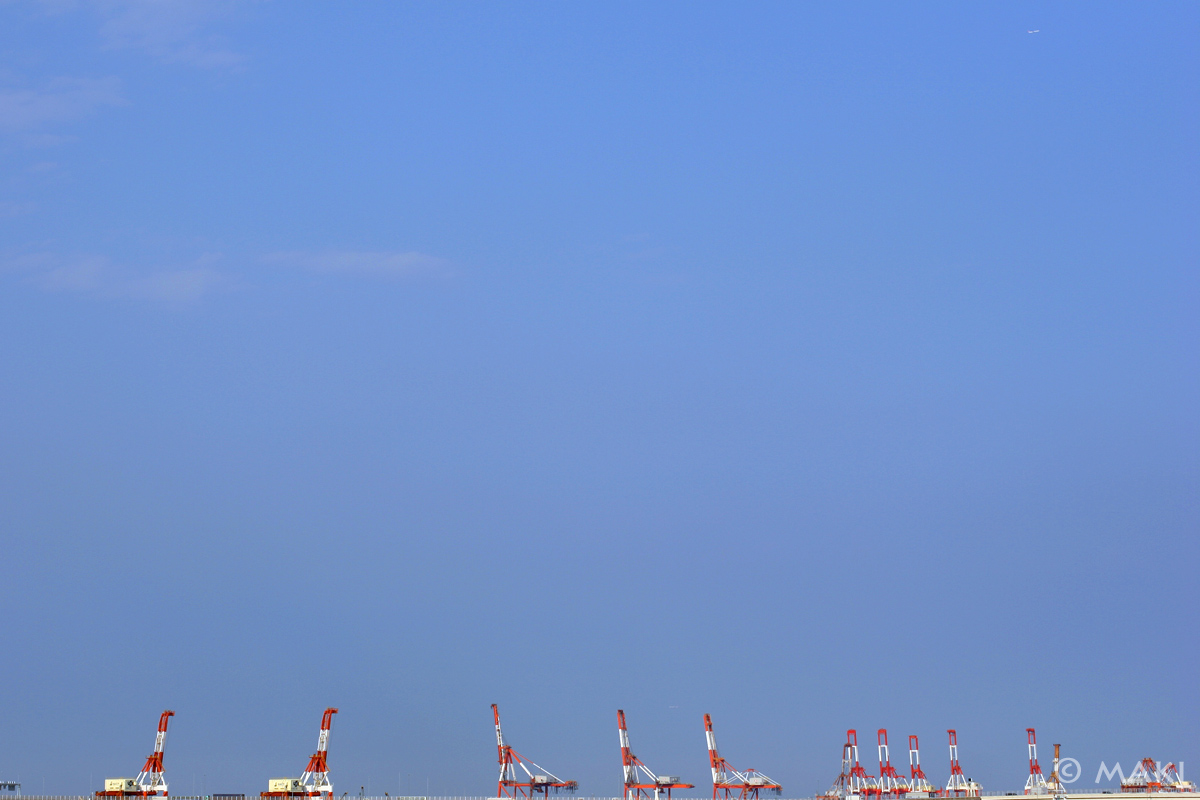 c0128108_254858.jpg