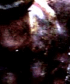 e0103408_12191688.gif
